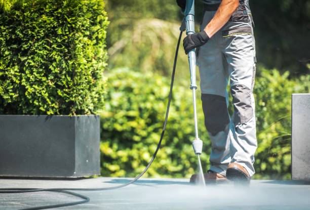Best Roof Washing  in Belgium, WI